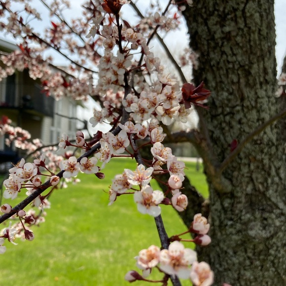 Meet your Posher, Jenny - Picture 4 of 16